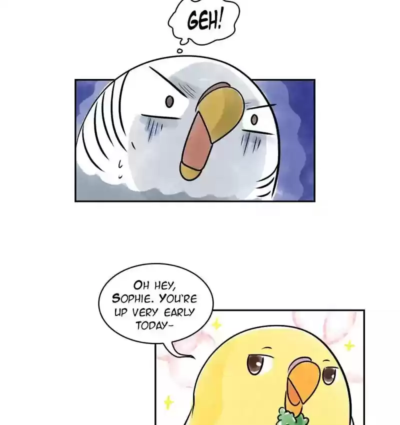 A Budgie's Life Chapter 161: Ep.160: