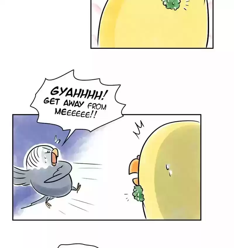 A Budgie's Life Chapter 161: Ep.160: