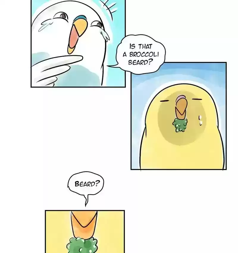 A Budgie's Life Chapter 161: Ep.160: