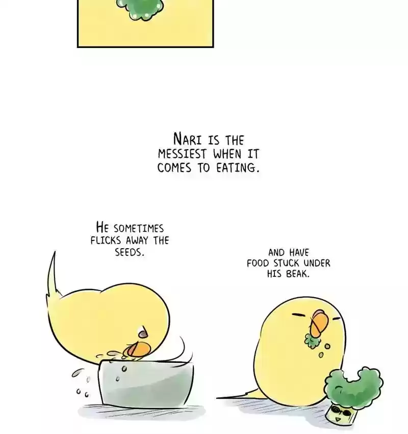 A Budgie's Life Chapter 161: Ep.160:
