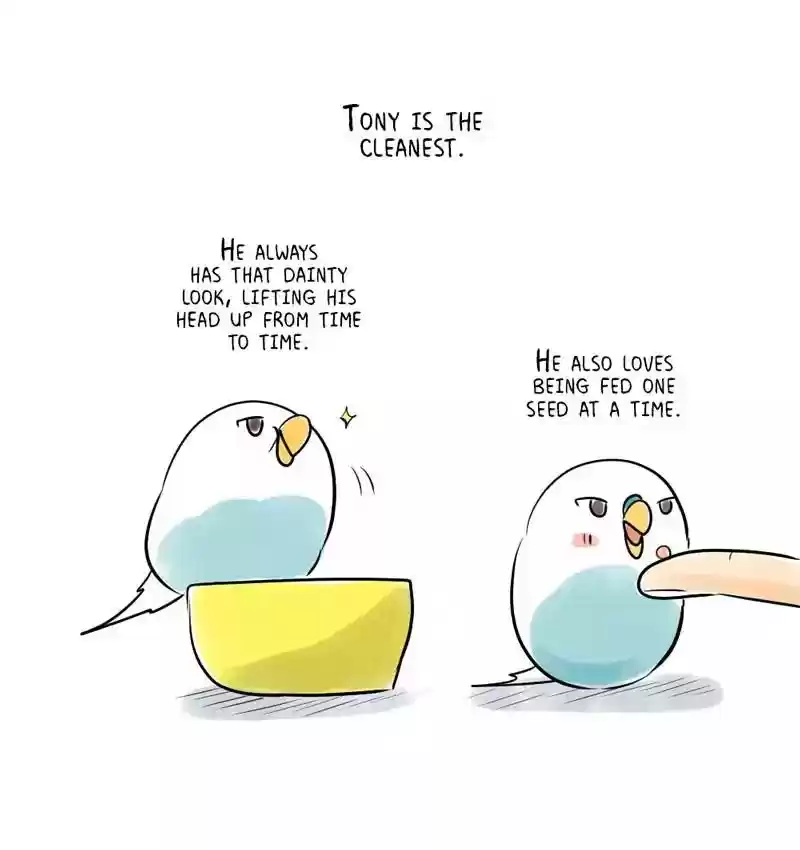 A Budgie's Life Chapter 161: Ep.160: