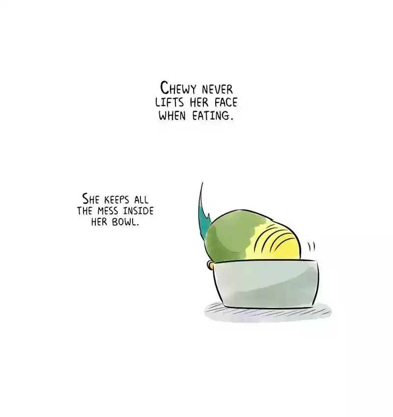 A Budgie's Life Chapter 161: Ep.160: