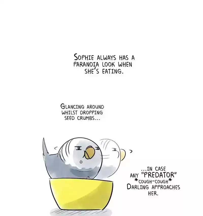A Budgie's Life Chapter 161: Ep.160: