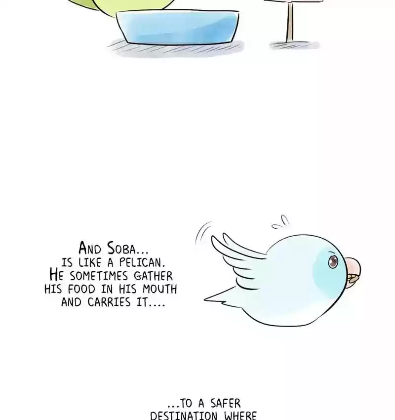 A Budgie's Life Chapter 161: Ep.160: