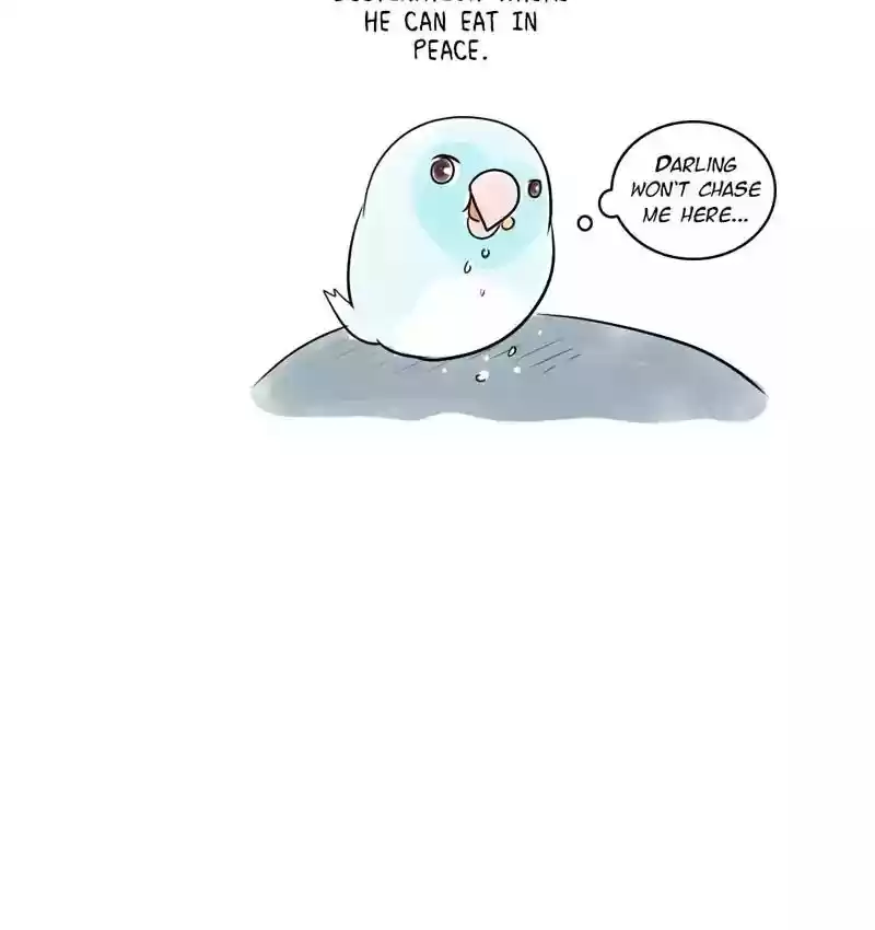 A Budgie's Life Chapter 161: Ep.160: