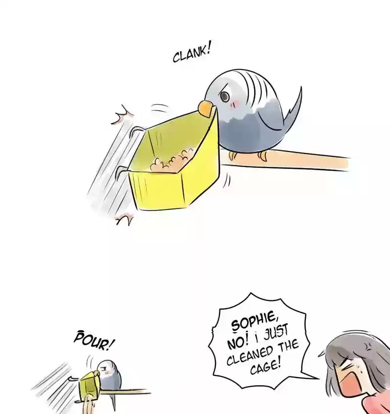 A Budgie's Life Chapter 161: Ep.160: