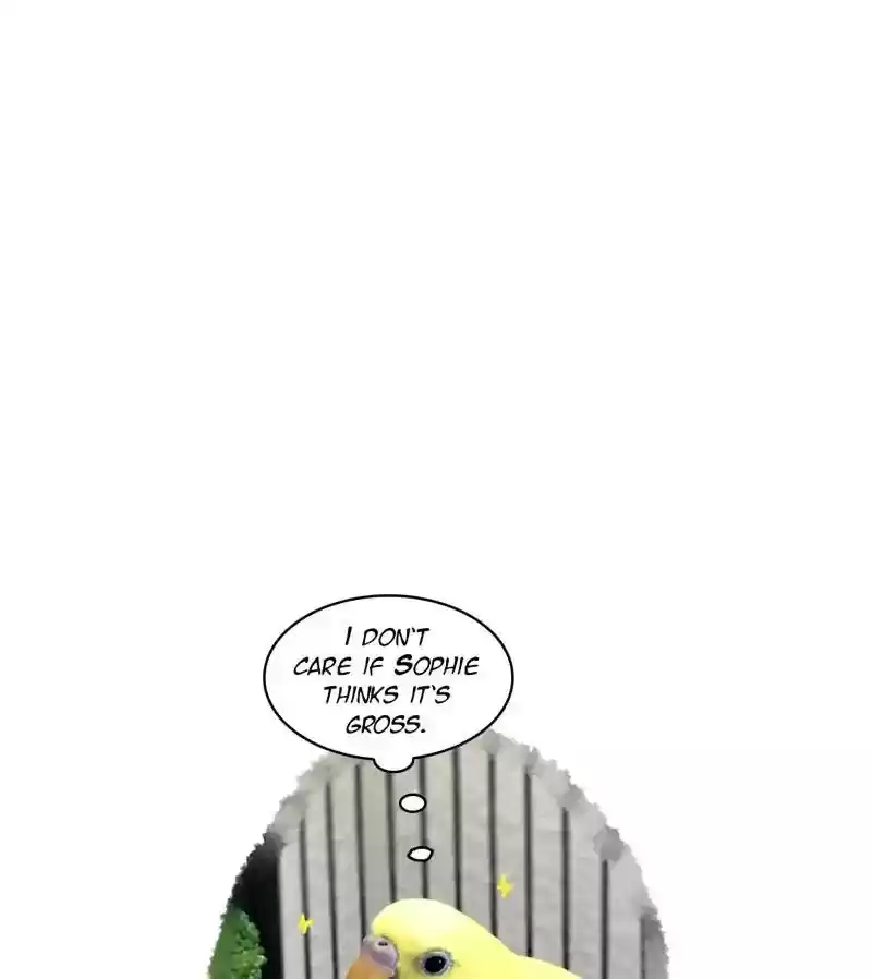 A Budgie's Life Chapter 161: Ep.160: