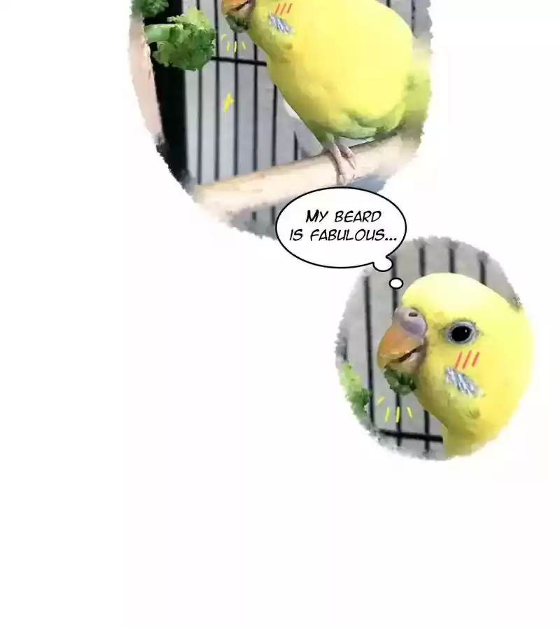 A Budgie's Life Chapter 161: Ep.160: