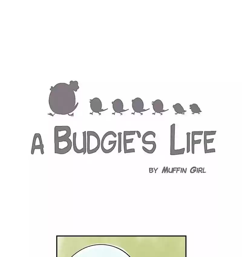 A Budgie's Life Chapter 162: Ep.161: