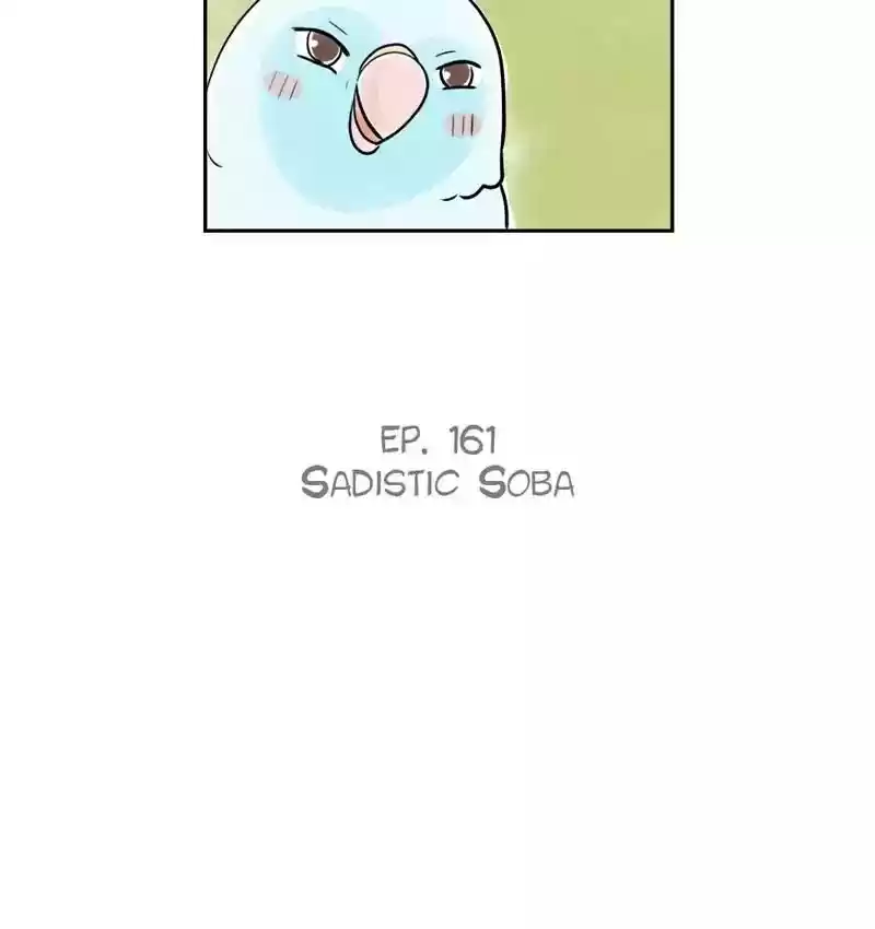 A Budgie's Life Chapter 162: Ep.161: