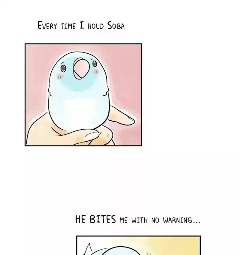 A Budgie's Life Chapter 162: Ep.161: