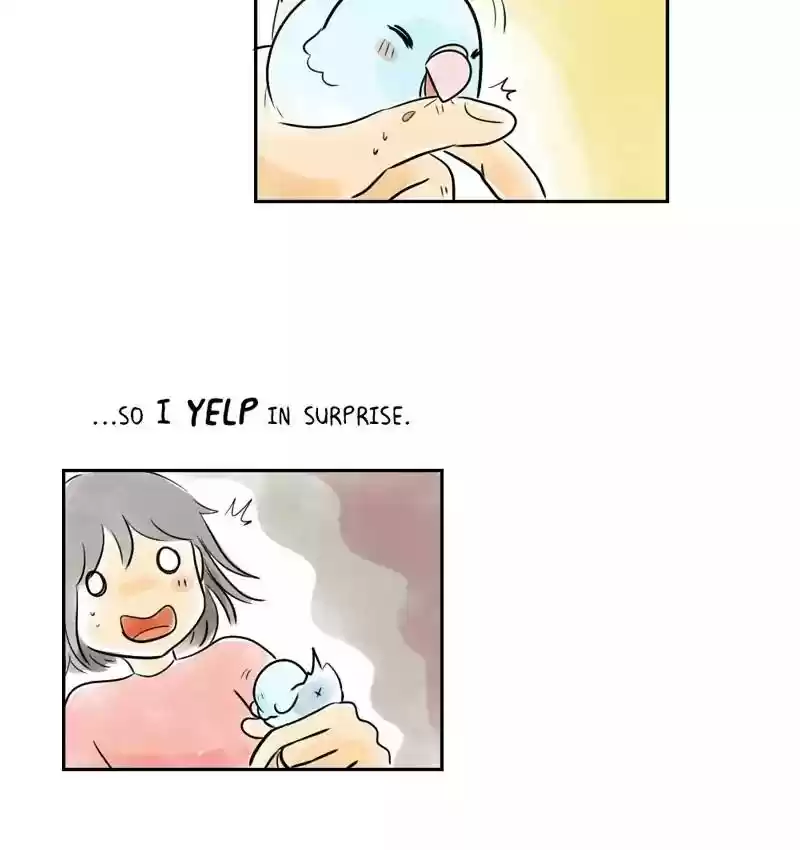 A Budgie's Life Chapter 162: Ep.161: