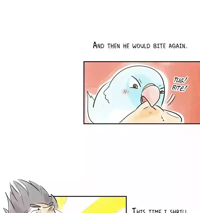 A Budgie's Life Chapter 162: Ep.161: