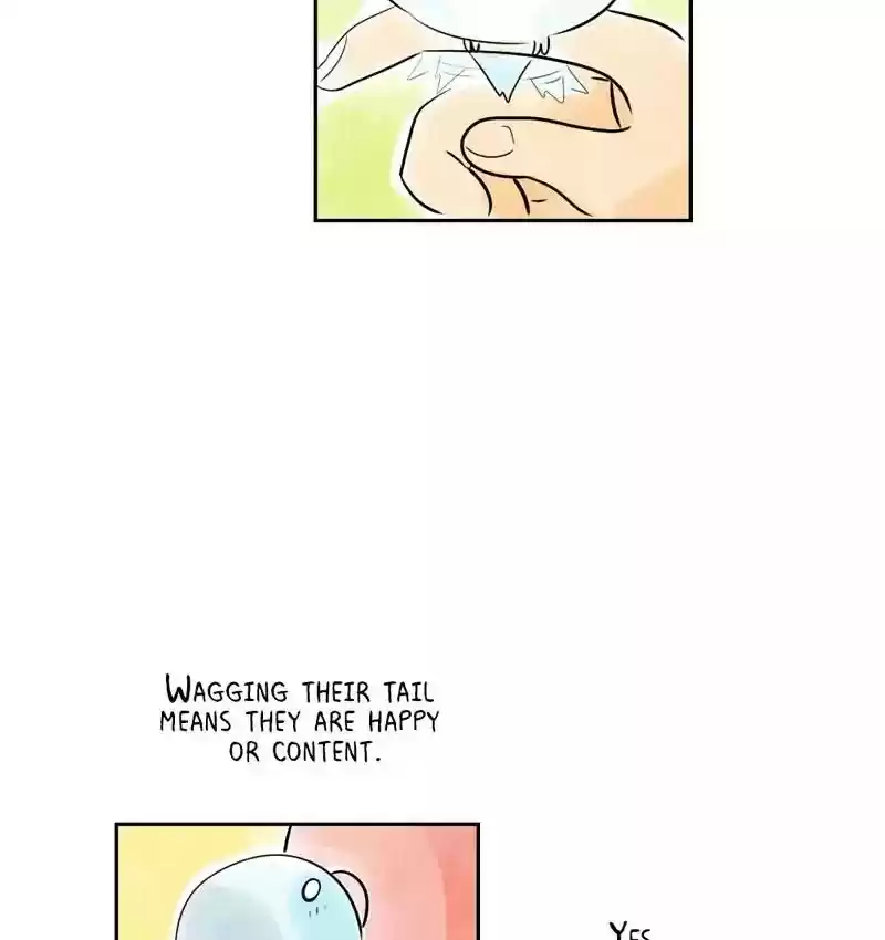 A Budgie's Life Chapter 162: Ep.161: