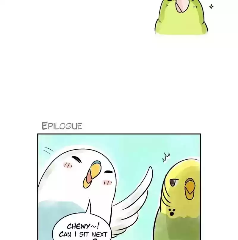 A Budgie's Life Chapter 162: Ep.161: