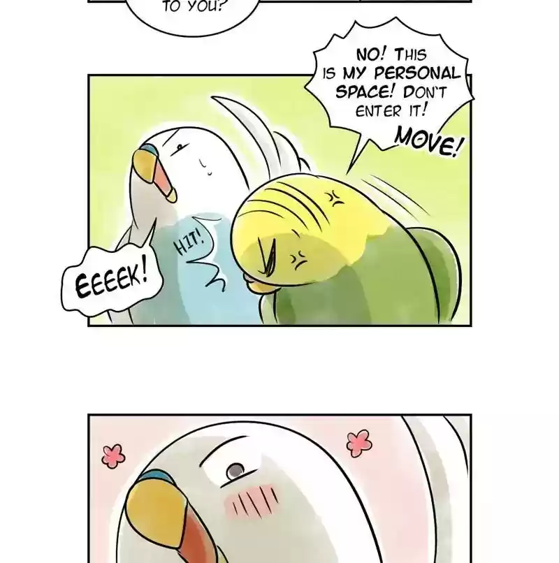 A Budgie's Life Chapter 162: Ep.161: