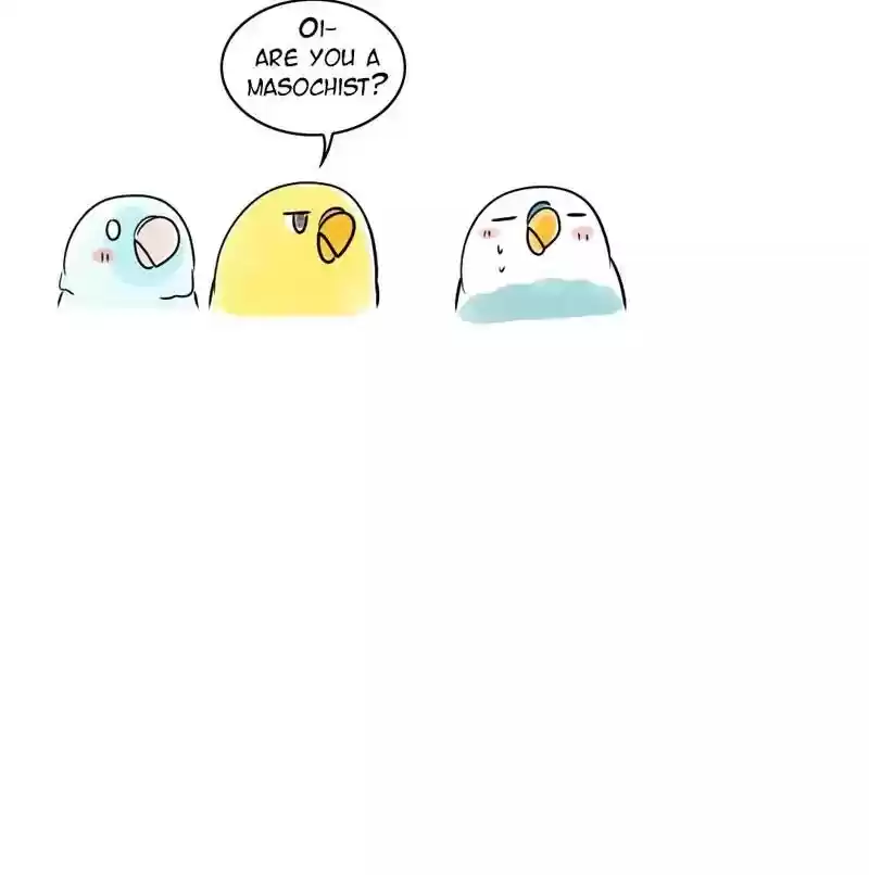 A Budgie's Life Chapter 162: Ep.161: