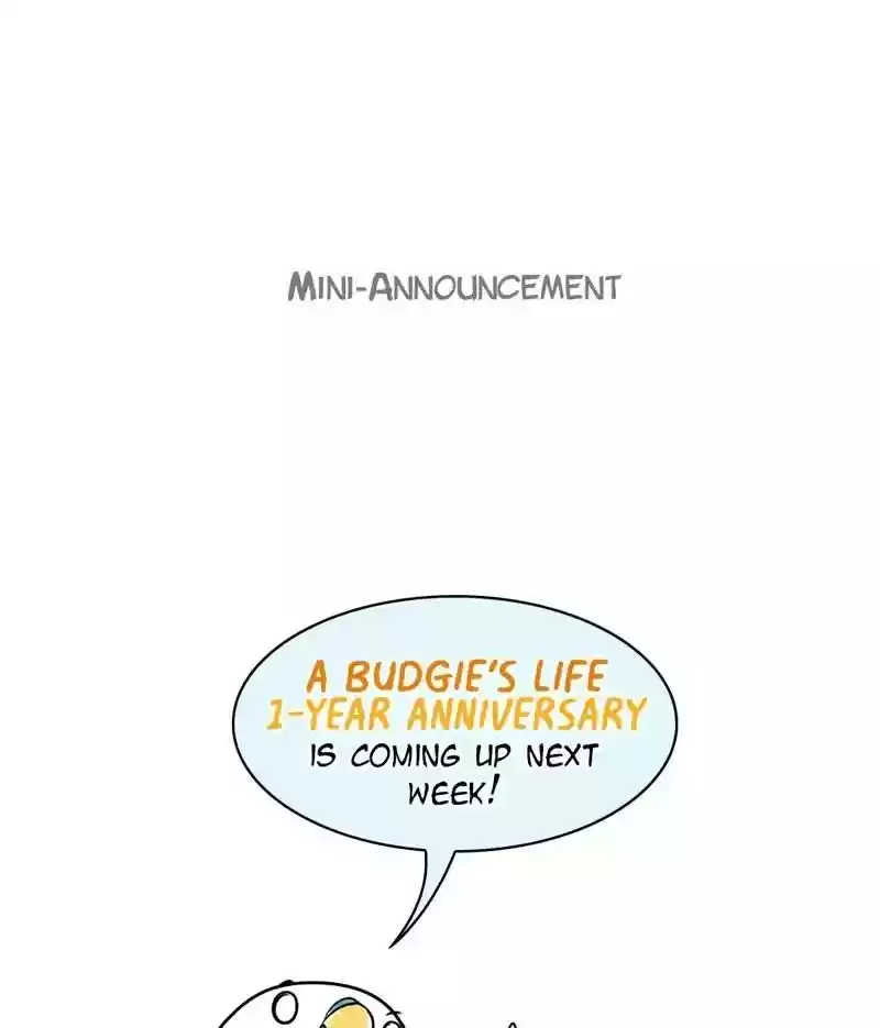 A Budgie's Life Chapter 162: Ep.161: