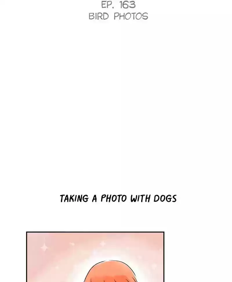 A Budgie's Life Chapter 164: Ep.163: