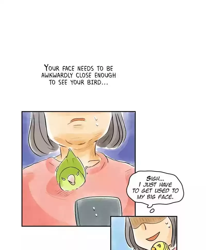 A Budgie's Life Chapter 164: Ep.163: