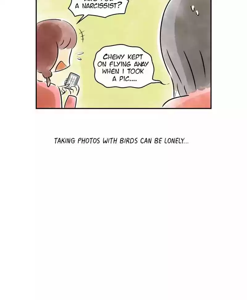A Budgie's Life Chapter 164: Ep.163: