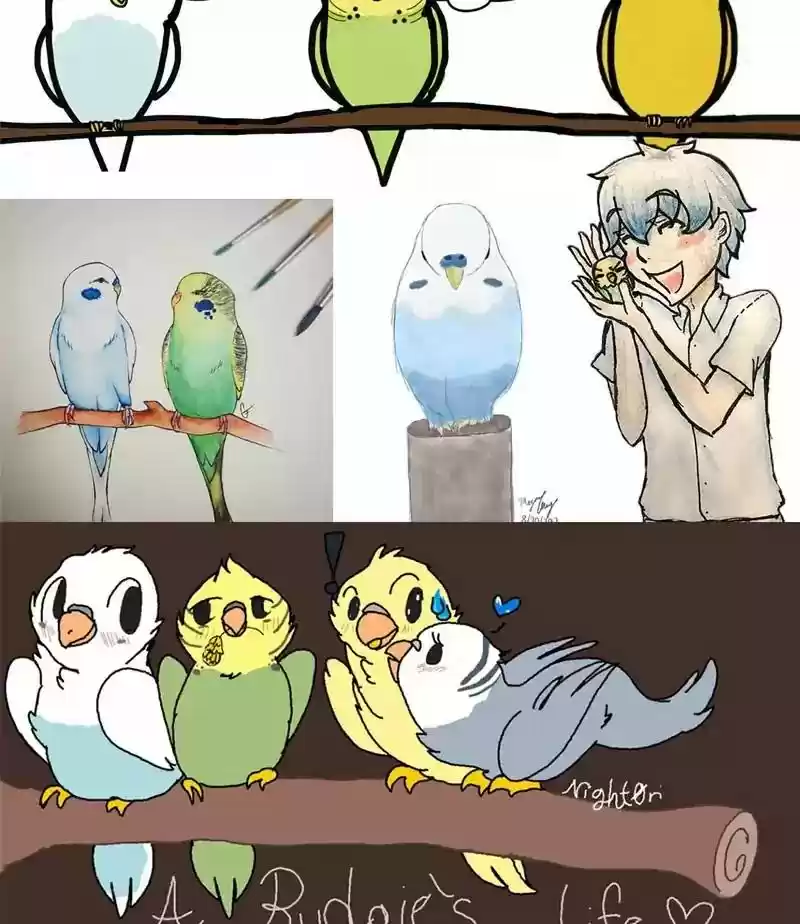 A Budgie's Life Chapter 164: Ep.163: