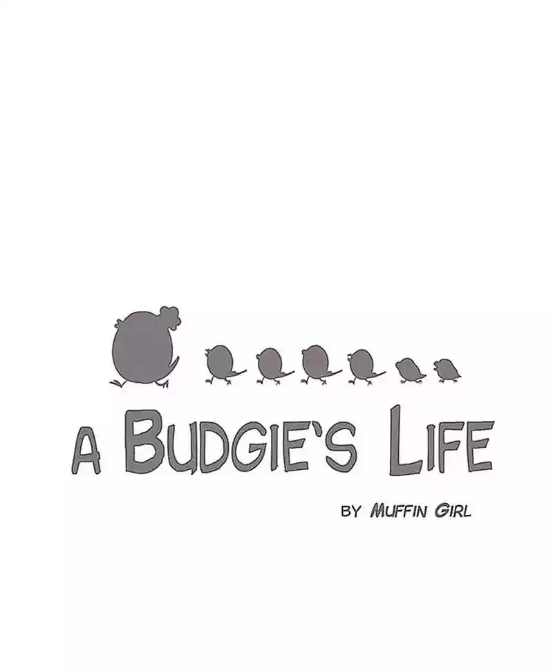 A Budgie's Life Chapter 165: Ep.164: