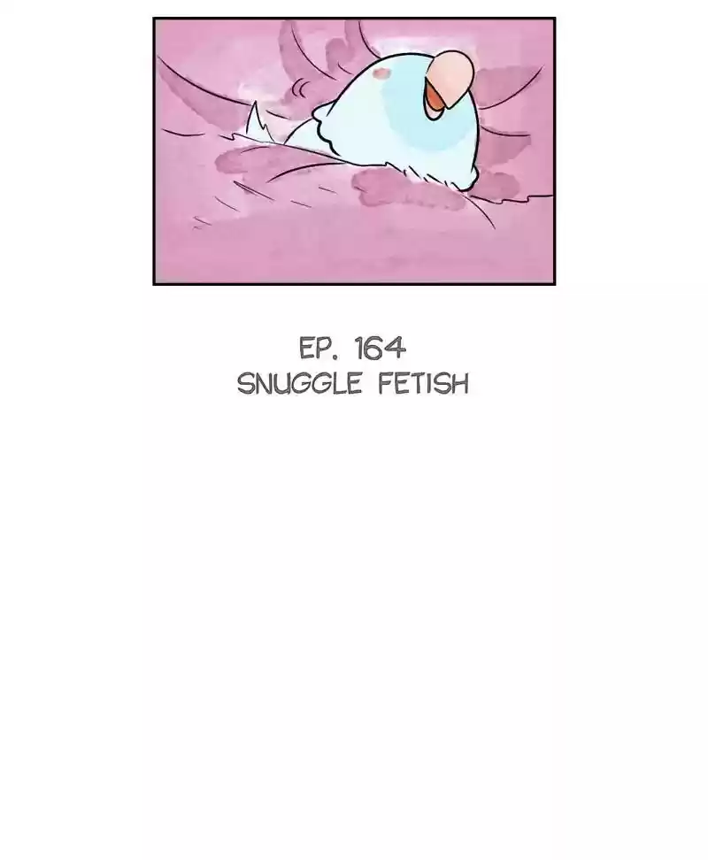 A Budgie's Life Chapter 165: Ep.164: