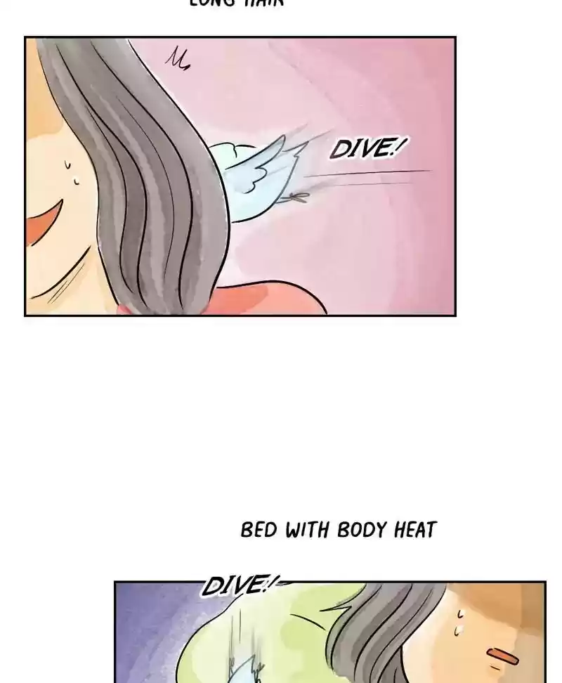 A Budgie's Life Chapter 165: Ep.164: