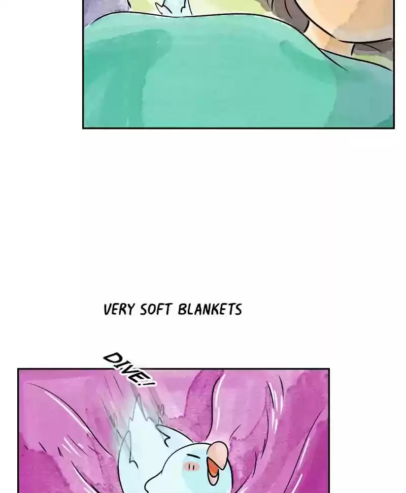 A Budgie's Life Chapter 165: Ep.164: