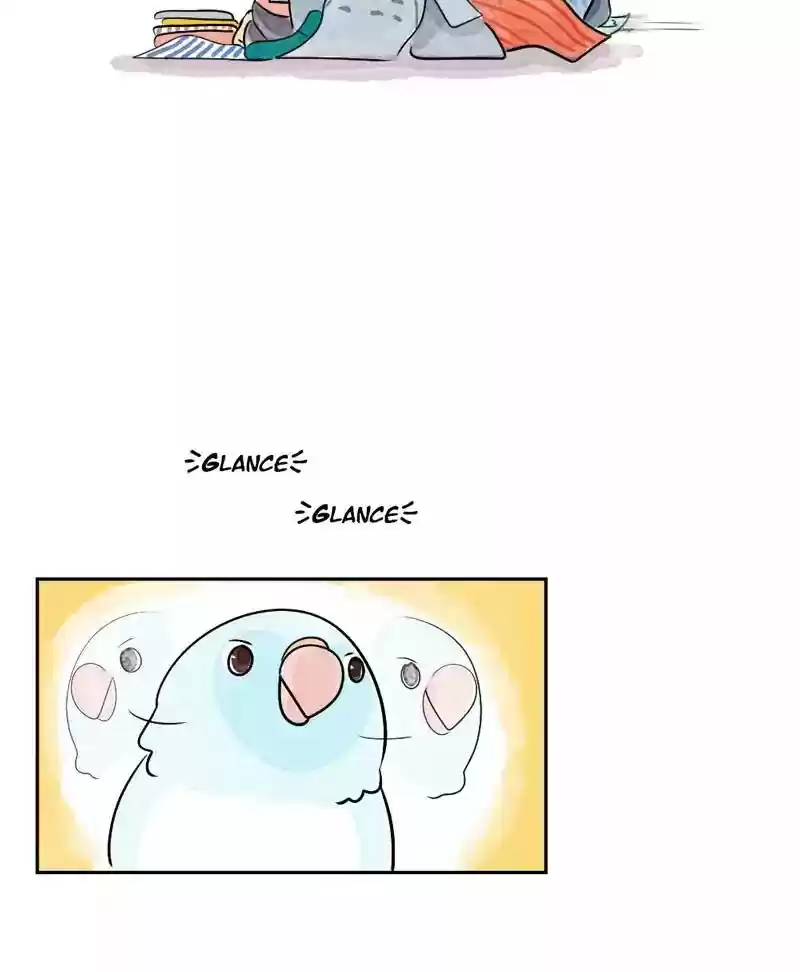 A Budgie's Life Chapter 165: Ep.164: