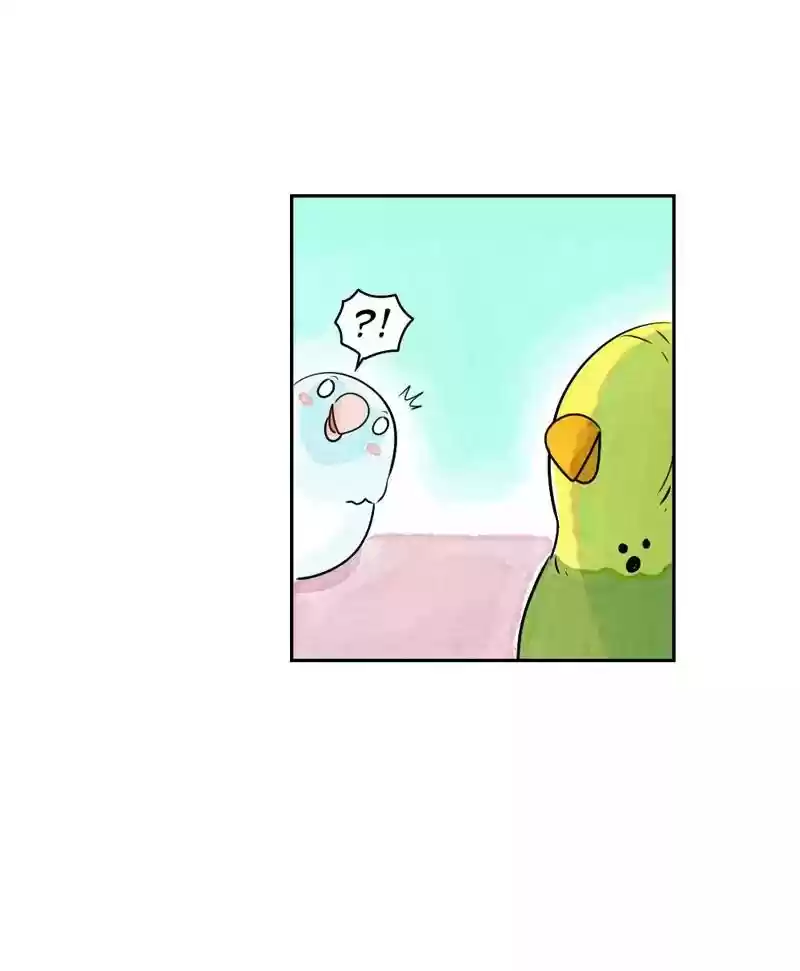 A Budgie's Life Chapter 165: Ep.164: