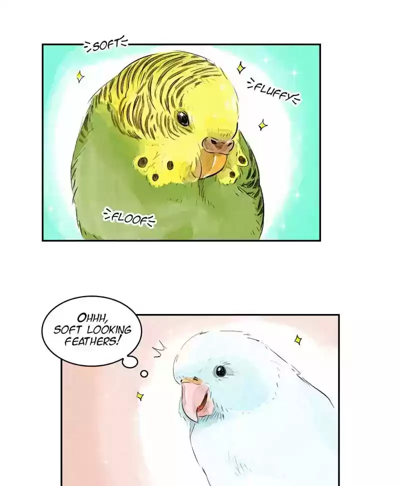 A Budgie's Life Chapter 165: Ep.164:
