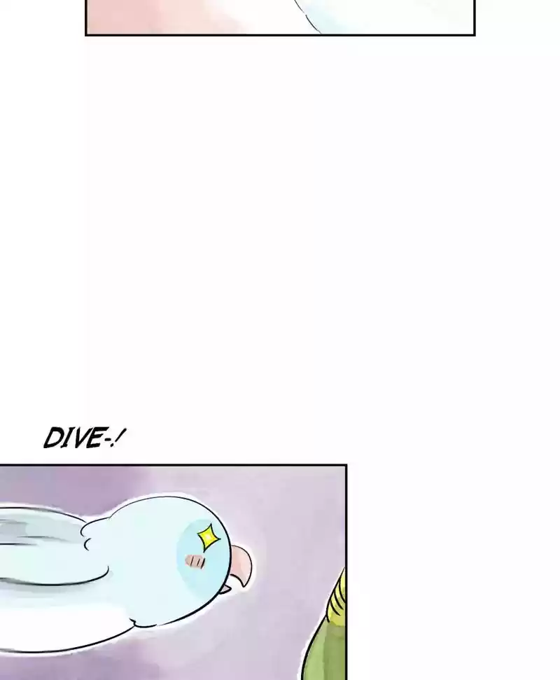 A Budgie's Life Chapter 165: Ep.164: