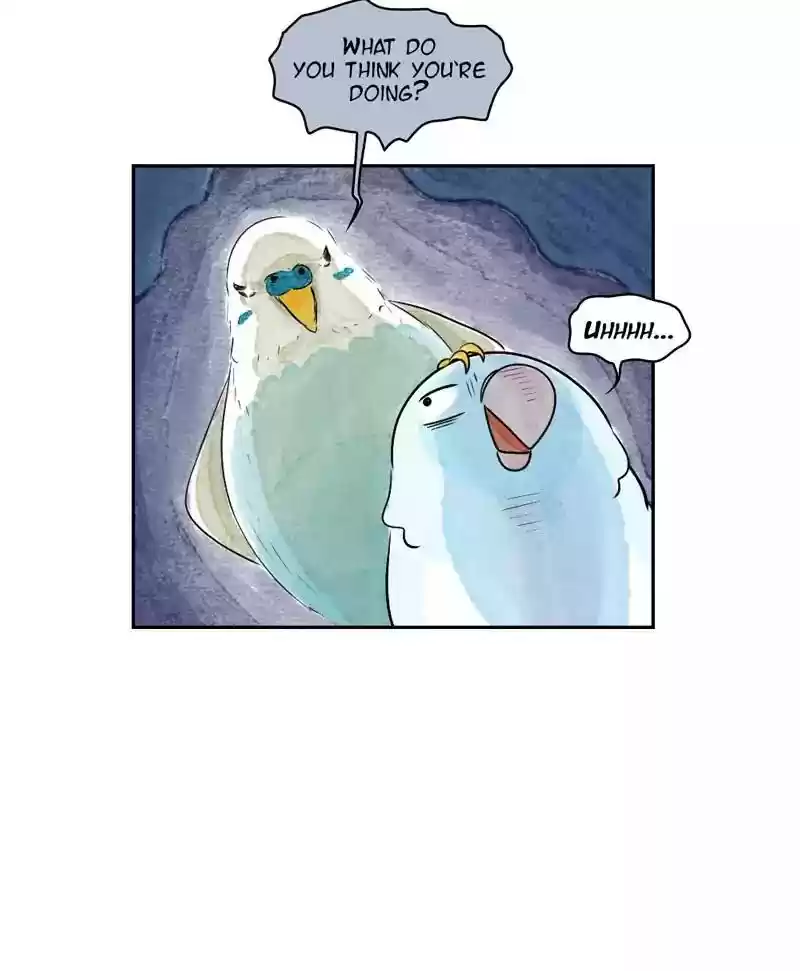 A Budgie's Life Chapter 165: Ep.164: