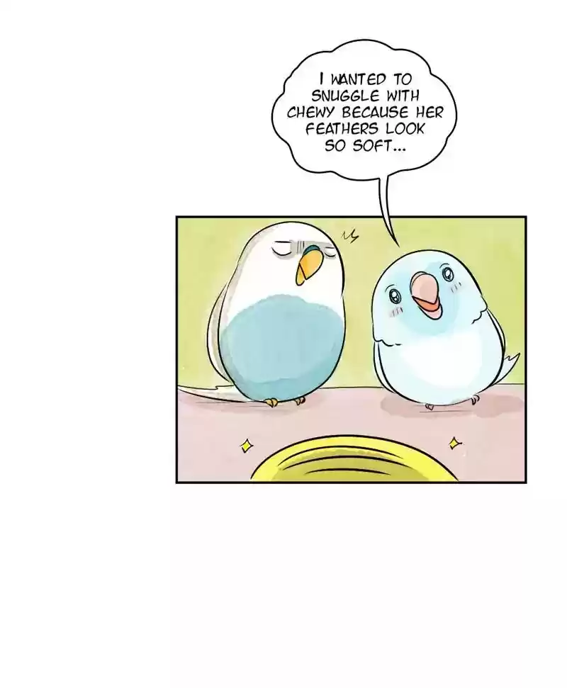 A Budgie's Life Chapter 165: Ep.164: