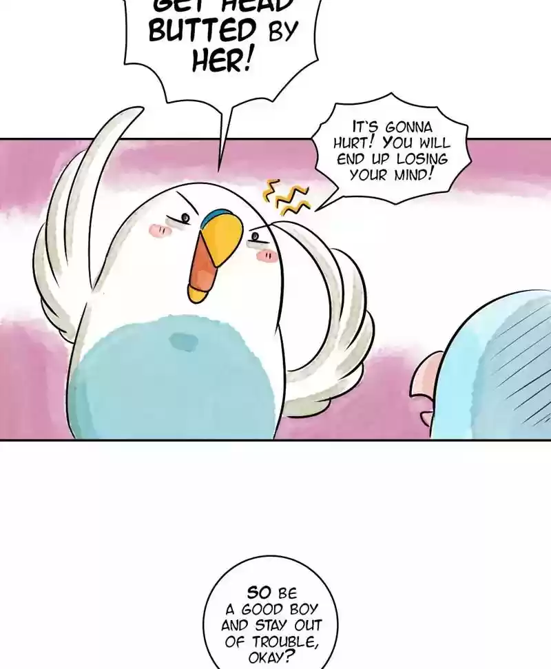 A Budgie's Life Chapter 165: Ep.164: