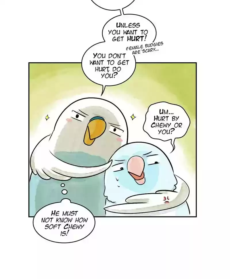 A Budgie's Life Chapter 165: Ep.164: