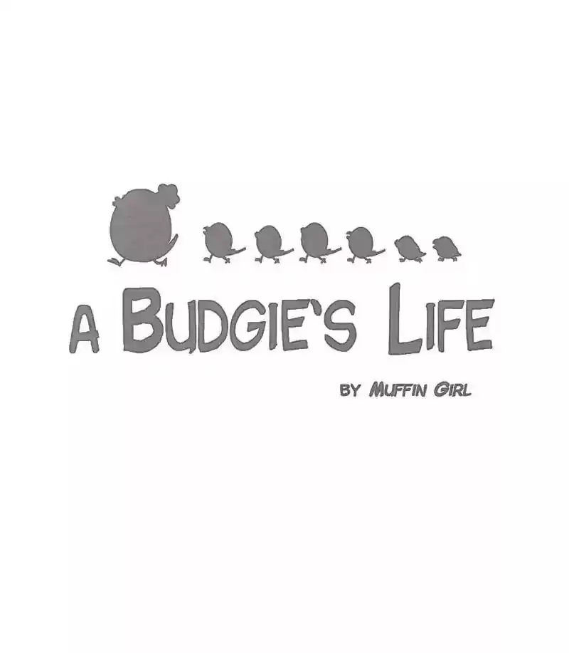 A Budgie's Life Chapter 166: Ep.165: