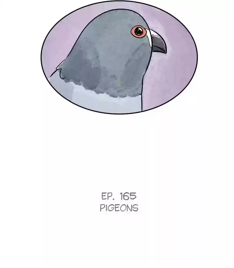 A Budgie's Life Chapter 166: Ep.165: