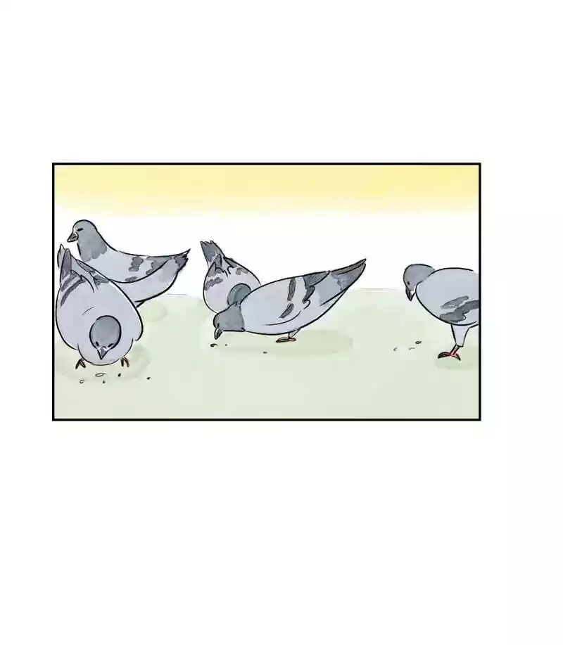 A Budgie's Life Chapter 166: Ep.165: