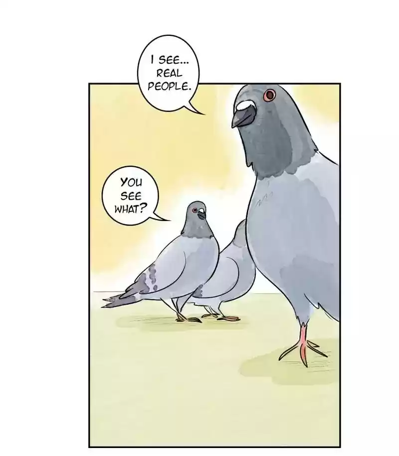 A Budgie's Life Chapter 166: Ep.165: