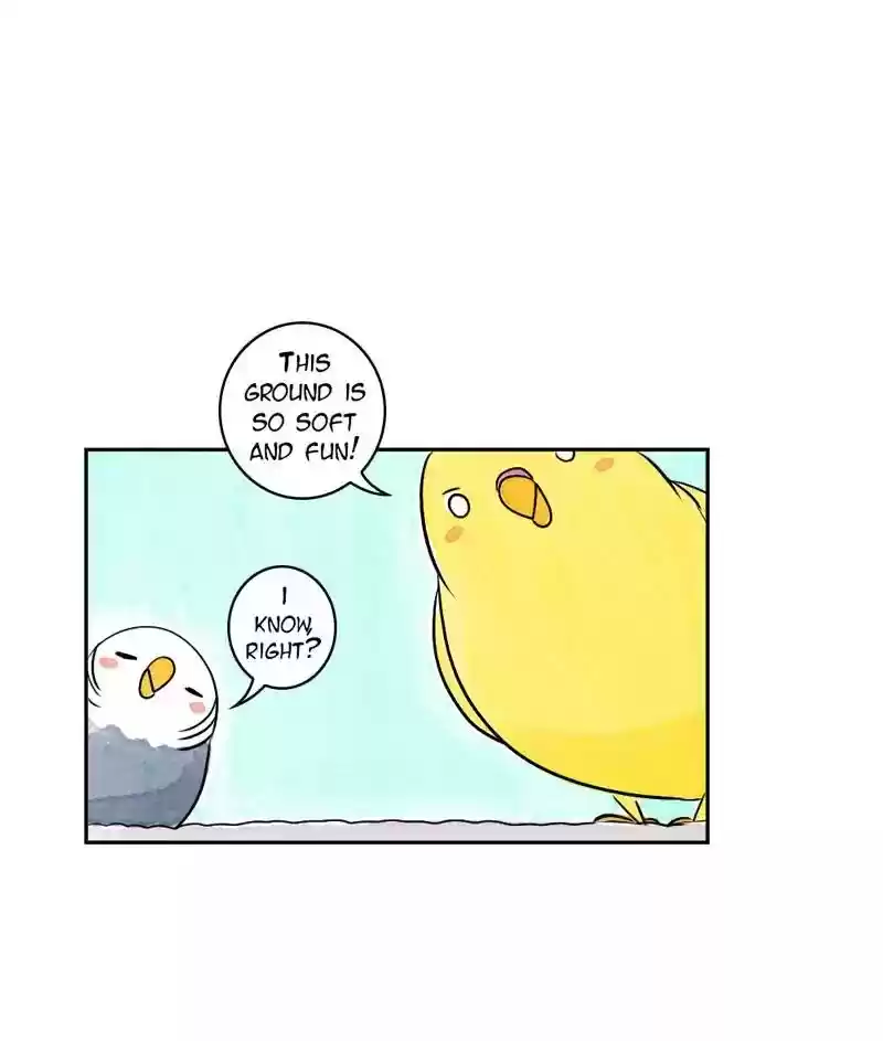A Budgie's Life Chapter 166: Ep.165: