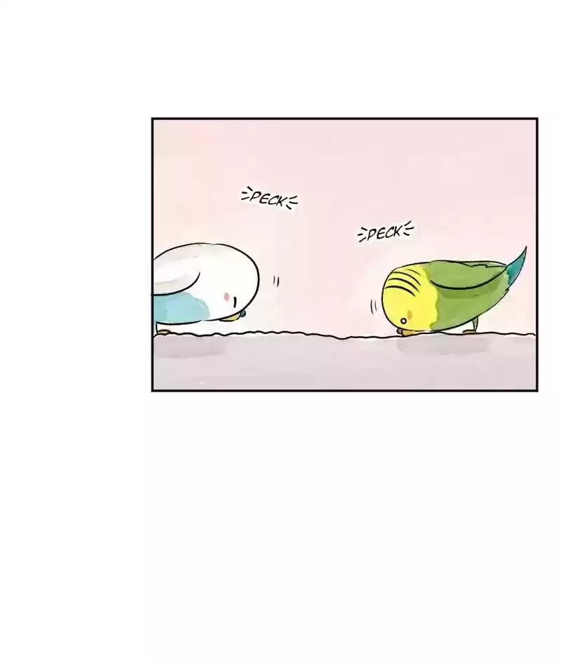 A Budgie's Life Chapter 166: Ep.165: