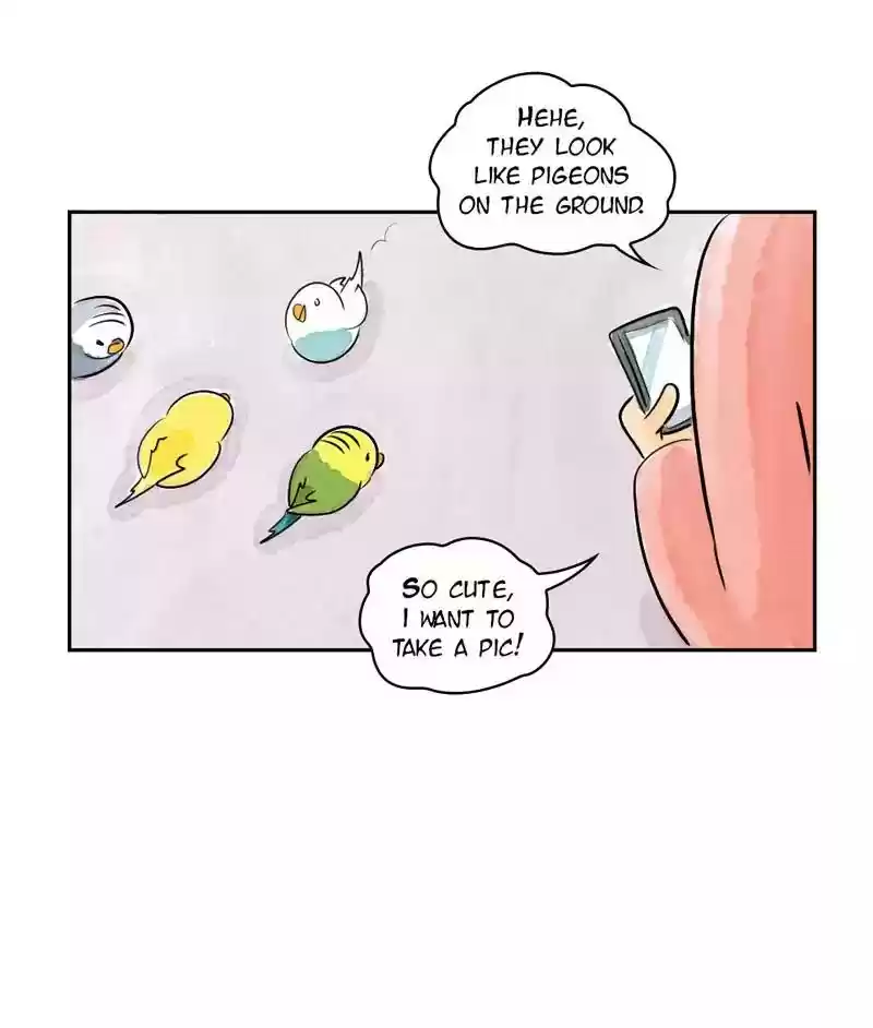 A Budgie's Life Chapter 166: Ep.165: