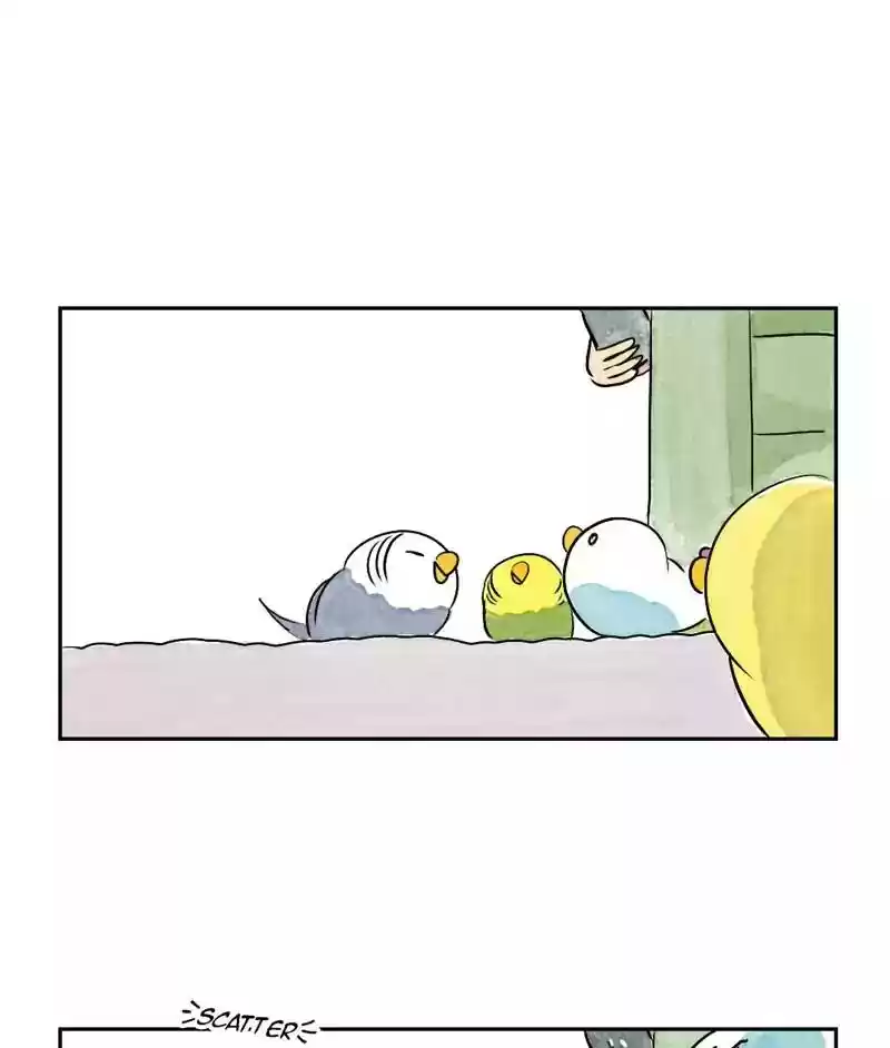 A Budgie's Life Chapter 166: Ep.165: