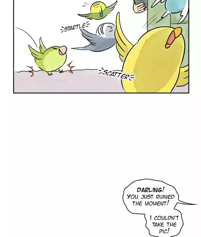 A Budgie's Life Chapter 166: Ep.165: