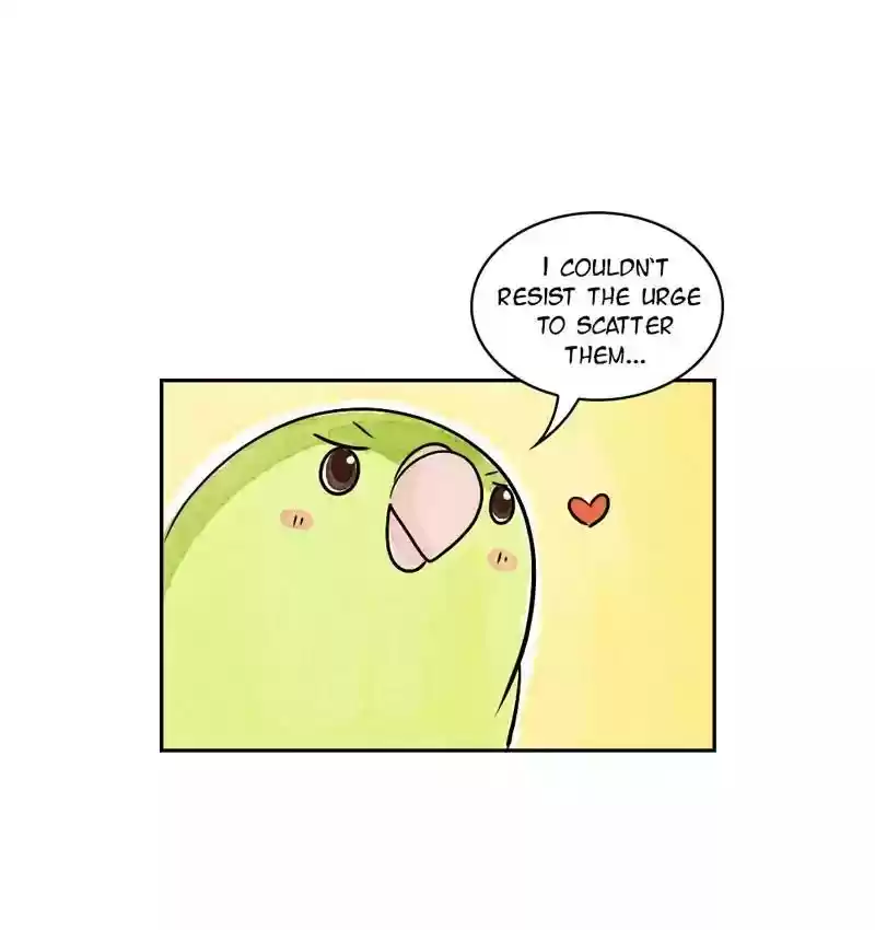 A Budgie's Life Chapter 166: Ep.165: