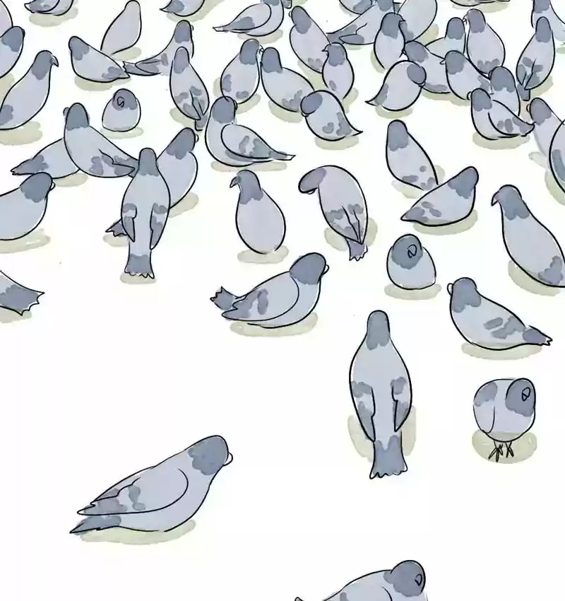 A Budgie's Life Chapter 166: Ep.165: