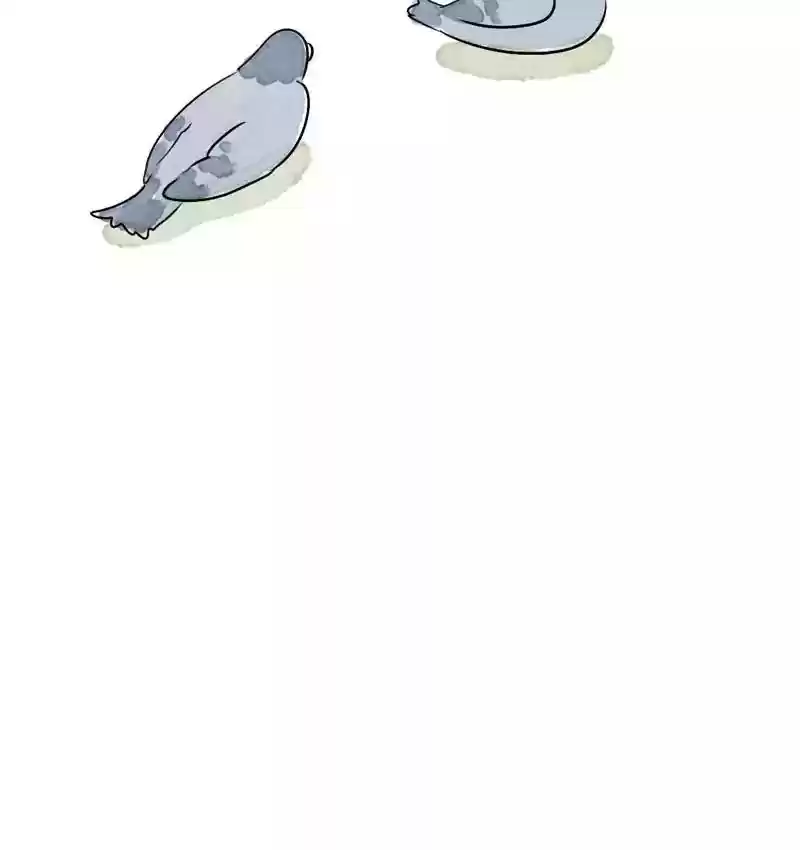 A Budgie's Life Chapter 166: Ep.165: